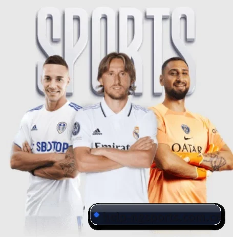 用内容积累长期价值 - ngsportsltd.com